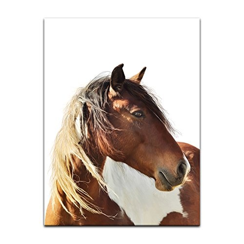 Keilrahmenbild Pferd - Portrait - 90x120 cm Bilder als Leinwanddruck Fotoleinwand Tierbild Reittier - Nahaufnahme - braunes Pferd