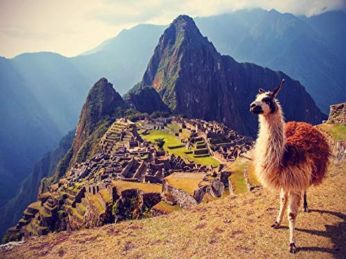 Fototapete selbstklebend Alpaka am Machu Picchu Peru - Vintage - 200x150 cm - Wandtapete - Poster - Dekoration - Wandbild - Wandposter - Bild - Wandbilder - Wanddeko