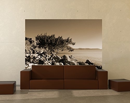 Fototapete selbstklebend Mediteraner Baum - Rhodos Griechenland - sephia 225x150 cm - Wandtapete - Poster - Dekoration - Wandbild - Wandposter - Bild - Wandbilder - Wanddeko