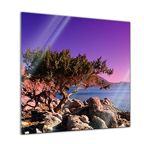 Glasbild - Mediteraner Baum - Rhodos Griechenland - 20 x...