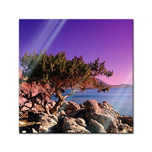 Glasbild - Mediteraner Baum - Rhodos Griechenland - 20 x 20 cm - Deko Glas - Wandbild aus Glas - Bild auf Glas - Moderne Glasbilder - Glasfoto - Echtglas - kein Acryl - Handmade