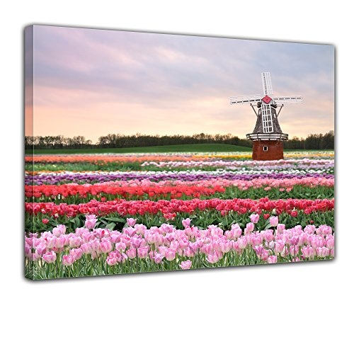 Keilrahmenbild - Tulpenfeld mit Windmühle - Bild auf Leinwand - 120x90 cm - Leinwandbilder - Landschaften - Holland - Blumenwiese