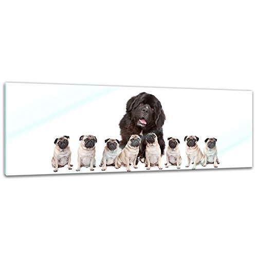 Glasbild - Grosser Hund mit kleinen Hunden - 120x40 cm -...