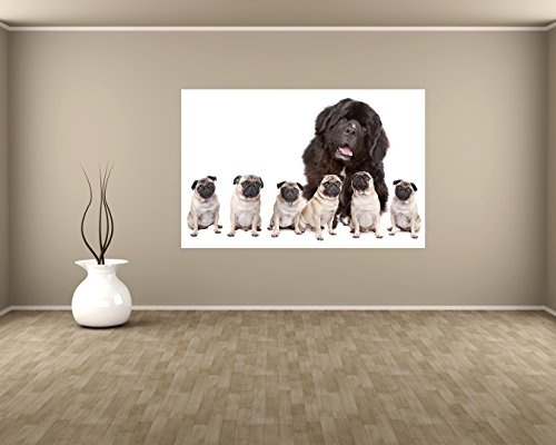 Bilderdepot24 Vlies Fototapete - Grosser Hund mit kleinen Hunden - 150x100 cm - mit Kleister - Poster - Foto auf Tapete - Wandbild - Wandtapete - Vliestapete