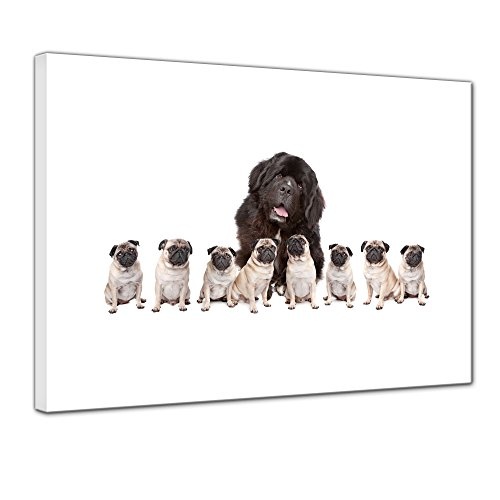 Wandbild - Grosser Hund mit kleinen Hunden - Bild auf...