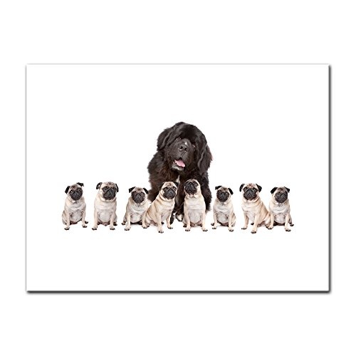 Wandbild - Grosser Hund mit kleinen Hunden - Bild auf...