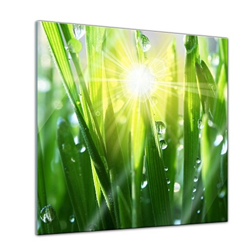 Glasbild - Gras II - 30x30 cm - Deko Glas - Wandbild aus...