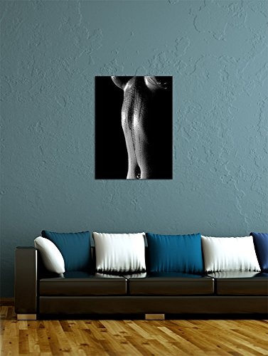 Wandbild - Frau Erotik - schwarz weiß - Bild auf Leinwand - 60x80 cm 1 teilig - Leinwandbilder - Bilder als Leinwanddruck - Akt & Erotik - erotischer Frauenkörper - schwarz weiß