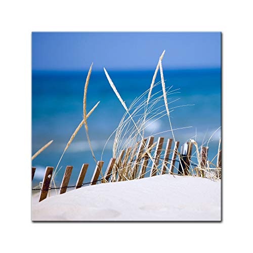 Wandbild - Sanddüne - Bild auf Leinwand - 40 x 40 cm - Leinwandbilder - Bilder als Leinwanddruck - Urlaub, Sonne & Meer - Dünengras am Strand