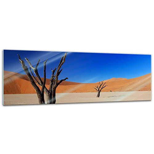 Glasbild - Tote Bäume im Death-Valley-Nationalpark - 120 x 40 cm - Deko Glas - Wandbild aus Glas - Bild auf Glas - Moderne Glasbilder - Glasfoto - Echtglas - kein Acryl - Handmade