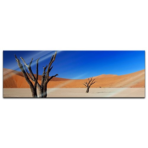 Glasbild - Tote Bäume im Death-Valley-Nationalpark -...
