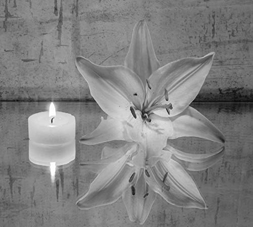Fototapete selbstklebend Lilie und Kerze - schwarz...