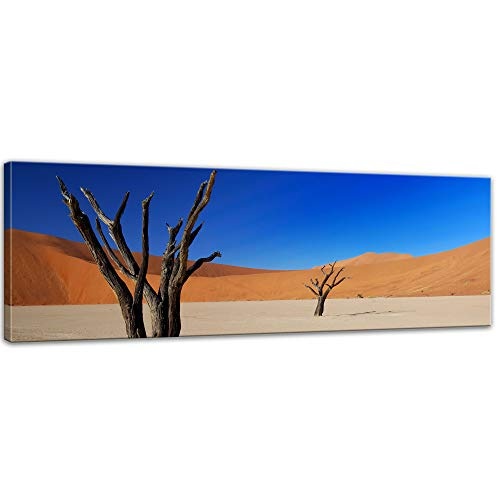 Keilrahmenbild - Tote Bäume im Deadvlei - Namibia - Bild auf Leinwand - 120 x 40 cm - Leinwandbilder - Bilder als Leinwanddruck - Landschaften - Natur - Sonne - Afrika - Namib Naukluft Nationalpark