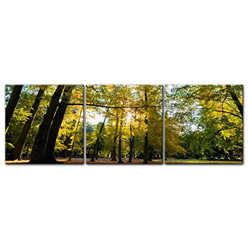 Wandbild - Blätterfall im Herbst - Bild auf Leinwand - 180x60 cm 3tlg - Leinwandbilder - Landschaften - Wald - Park - Jahreszeit - Sonnenschein