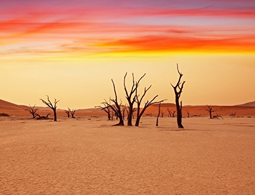Bilderdepot24 Vlies Fototapete - Dead Valley - Namibia - 300x230 cm - mit Kleister - Poster - Foto auf Tapete - Wandbild - Wandtapete - Vliestapete