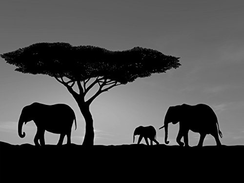 Bilderdepot24 Vlies Fototapete - Elefanten im Sonnenuntergang - schwarz Weiss - 200x150 cm - mit Kleister - Poster - Foto auf Tapete - Wandbild - Wandtapete - Vliestapete