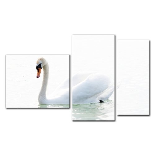 Wandbild - Schwan - Bild auf Leinwand - 130x80 cm 3 teilig - Leinwandbilder - Bilder als Leinwanddruck - Tierwelten - Tier - Vogel - weißer Schwan