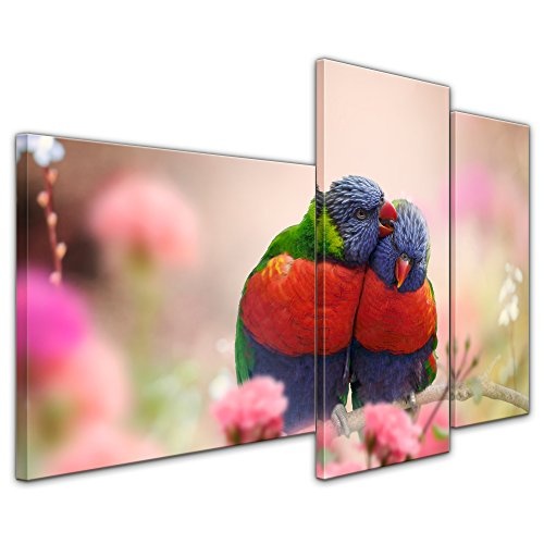 Wandbild Regenbogenpapageien - 130x80 cm Bilder als Leinwanddruck Fotoleinwand Tierbild Vögel - Natur Zwei Papageien auf Einem AST