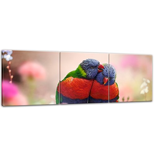 Wandbild Regenbogenpapageien - 180x60 cm Bilder als Leinwanddruck Fotoleinwand Tierbild Vögel - Natur Zwei Papageien auf Einem AST