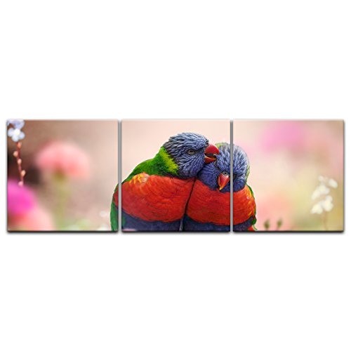 Wandbild Regenbogenpapageien - 180x60 cm Bilder als Leinwanddruck Fotoleinwand Tierbild Vögel - Natur Zwei Papageien auf Einem AST