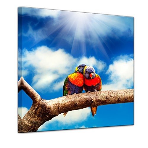 Wandbild Regenbogenpapageien auf Einem AST - 60x60 cm Bilder als Leinwanddruck Fotoleinwand Tierbild Vögel - Natur Zwei Papageien auf Einem AST