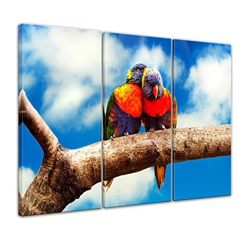 Wandbild Regenbogenpapageien auf Einem AST - 90x60 cm Bilder als Leinwanddruck Fotoleinwand Tierbild Vögel - Natur Zwei Papageien auf Einem AST