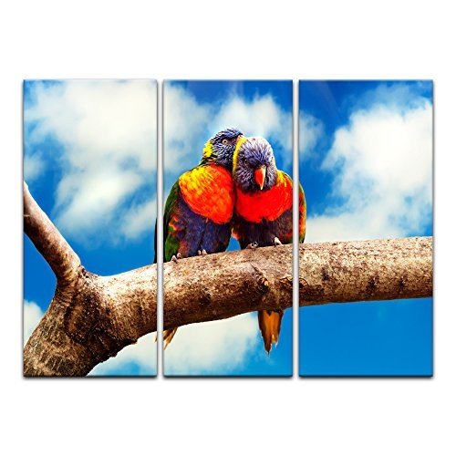 Wandbild Regenbogenpapageien auf Einem AST - 90x60 cm Bilder als Leinwanddruck Fotoleinwand Tierbild Vögel - Natur Zwei Papageien auf Einem AST
