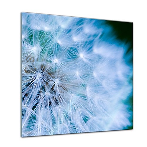 Glasbild - Pusteblume - 50x50 cm - Deko Glas - Wandbild aus Glas - Bild auf Glas - Moderne Glasbilder - Glasfoto - Echtglas - kein Acryl - Handmade