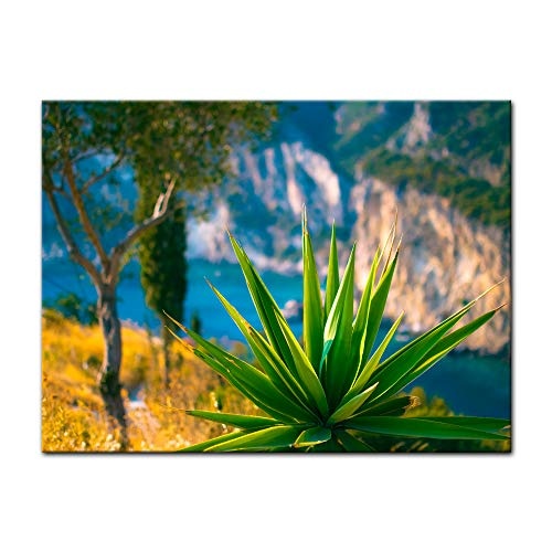 Keilrahmenbild - Aloe Vera Pflanze - Paleokastritsa Bay Korfu - Bild auf Leinwand - 120x90 cm - Leinwandbilder - Landschaften - Urlaub, Sonne & Meer - Griechenland - Pflanze