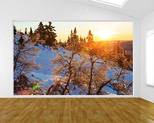 Bilderdepot24 Vlies Fototapete - Gefrorene Bäume - 360x230 cm - mit Kleister - Poster - Foto auf Tapete - Wandbild - Wandtapete - Vliestapete