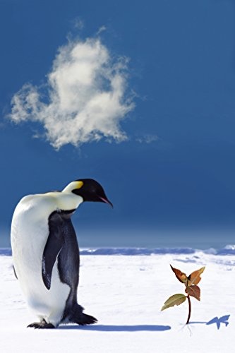 Bilderdepot24 Vlies Fototapete - Pinguin mit Blume -...