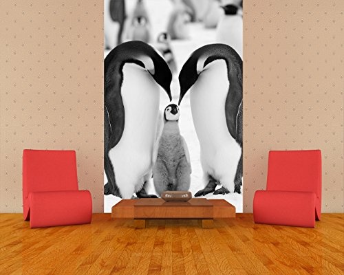 Bilderdepot24 Vlies Fototapete - Pinguinfamilie - schwarz Weiss - 150x230 cm - mit Kleister - Poster - Foto auf Tapete - Wandbild - Wandtapete - Vliestapete