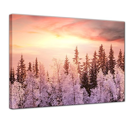 Wandbild - Winterwald - Bild auf Leinwand - 80x60 cm einteilig - Leinwandbilder - Landschaften - Baumwipfel im Sonnenaufgang