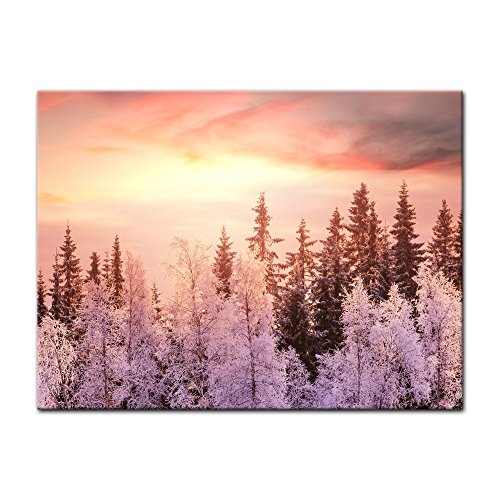 Wandbild - Winterwald - Bild auf Leinwand - 80x60 cm einteilig - Leinwandbilder - Landschaften - Baumwipfel im Sonnenaufgang