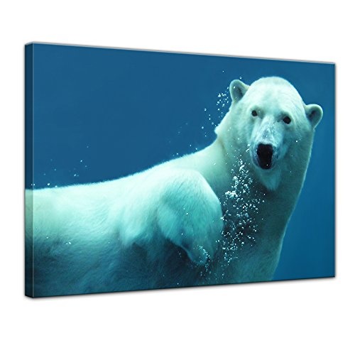 Keilrahmenbild Eisbär unter Wasser - 120x90 cm Bilder als Leinwanddruck Fotoleinwand Tierbild Raubtier - Arktis - tauchender Bär