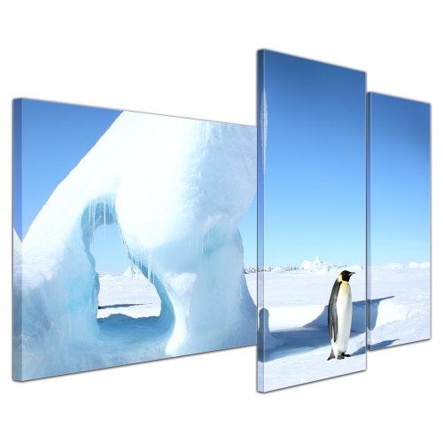 Wandbild - Kaiserpinguin - Bild auf Leinwand - 130x80 cm 3 teilig - Leinwandbilder - Bilder als Leinwanddruck - Tierwelten - Wildtiere - Leben in der Arktis