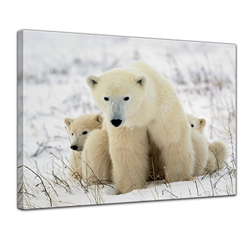 Keilrahmenbild - Eisbärin mit Jungen - Bild auf Leinwand - 120 x 90 cm - Leinwandbilder - Bilder als Leinwanddruck - Tierwelten - Wildtiere - Tiere der Arktis