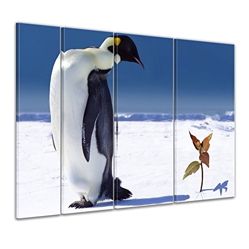 Keilrahmenbild - Pinguin mit Blume - Bild auf Leinwand...