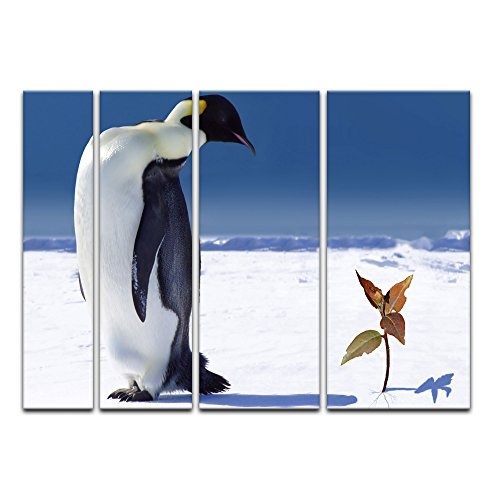 Keilrahmenbild - Pinguin mit Blume - Bild auf Leinwand...