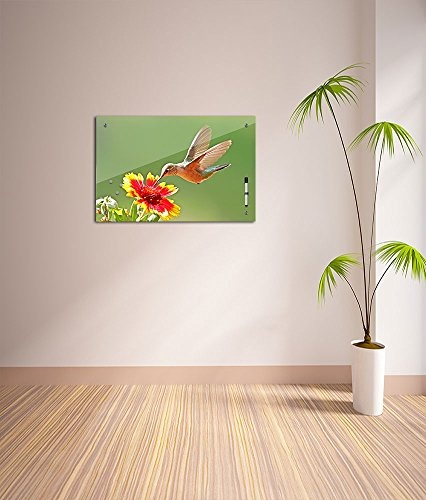 Bilderdepot24 Memoboard 80 x 60 cm, Tiere - Kolibri - Memotafel Pinnwand - Tiermotive - Tierbild - Tier - Nahaufnahme - Vogel - Blume - Blüte - grün - rot - Vogelbild - Küche - Handmade