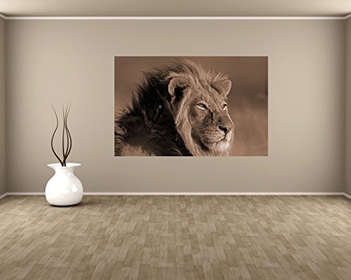 Fototapete selbstklebend Afrikanischer Löwe - sephia 150x100 cm - Wandtapete - Poster - Dekoration - Wandbild - Wandposter - Bild - Wandbilder - Wanddeko