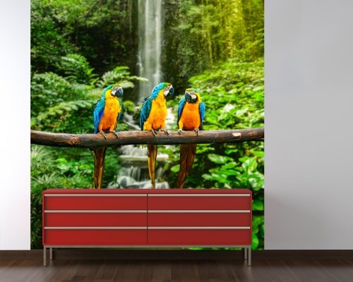 Fototapete selbstklebend Blau-Gelber Macaw Papagei -...