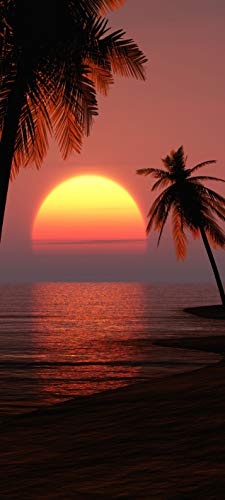 Bilderdepot24 Türtapete selbstklebend Sonnenuntergang mit Palmen 90 x 200 cm - einteilig Türaufkleber Türfolie Türposter - Sonne Natur Landschaft Meer Baum tropisch