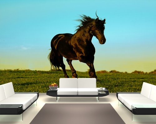 Bilderdepot24 selbstklebende Fototapete "Pferd" 155 x 100 cm - direkt vom Hersteller, Vinyl