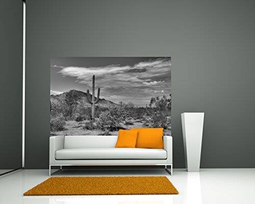 Bilderdepot24 Vlies Fototapete - Wüste Kaktus - schwarz Weiss - 225x150 cm - mit Kleister - Poster - Foto auf Tapete - Wandbild - Wandtapete - Vliestapete