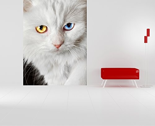 Bilderdepot24 Vlies Fototapete - Weiße Katze mit Zwei Augenfarben - 150x200 cm - mit Kleister - Poster - Foto auf Tapete - Wandbild - Wandtapete - Vliestapete