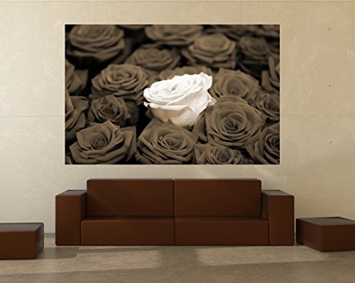 Bilderdepot24 Vlies Fototapete - weiße Rose - sephia - Sepia - 155x100 cm - mit Kleister - Poster - Foto auf Tapete - Wandbild - Wandtapete - Vliestapete