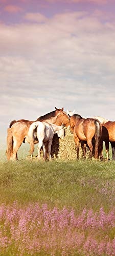 Türtapete selbstklebend Pferde auf der Weide 90 x 200 cm - einteilig Türaufkleber Türfolie Türposter - Tier reiten Horse Herde Feld Landschaft Pferdebild