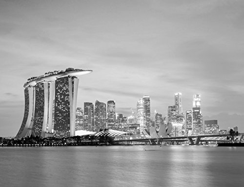 Bilderdepot24 Vlies Fototapete - Singapur Skyline II - schwarz Weiss - 265x200 cm - mit Kleister - Poster - Foto auf Tapete - Wandbild - Wandtapete - Vliestapete