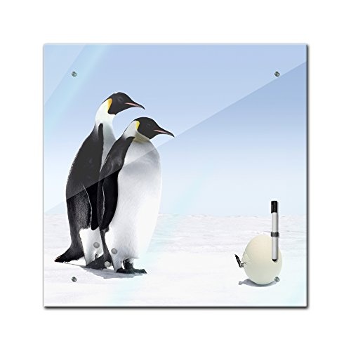 Bilderdepot24 Memoboard 40 x 40 cm, Tiere - Pinguine - Pinnwand - Tiermotive - Tier - Vogel - Antarktis - EIS - Königspinguin - Pinguin Familie - Glasbild - Tierbild - Pinguinbild